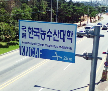 도로간판01