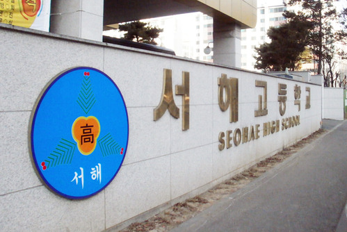 신주잔넬 07