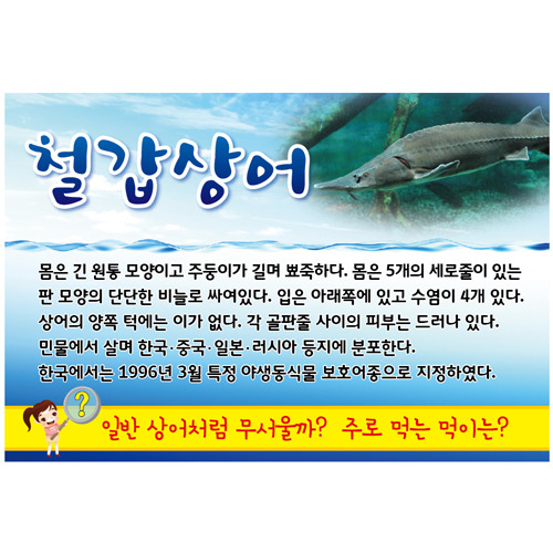 실사형 천정표찰 A-14