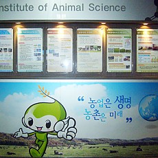 현황판 06