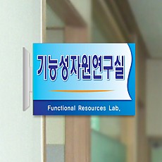 실사형 돌출 14