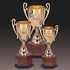 우승컵 1