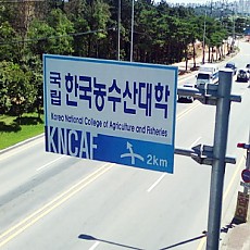 도로간판01