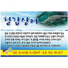 실사형 천정표찰 A-14