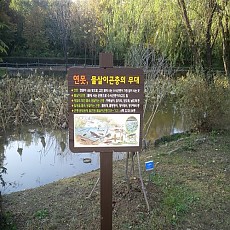 목간판 06