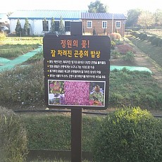목간판 07