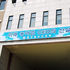 현판 06